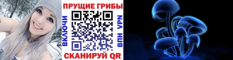 Галлюциногенные грибы ЛСД  Волосово 